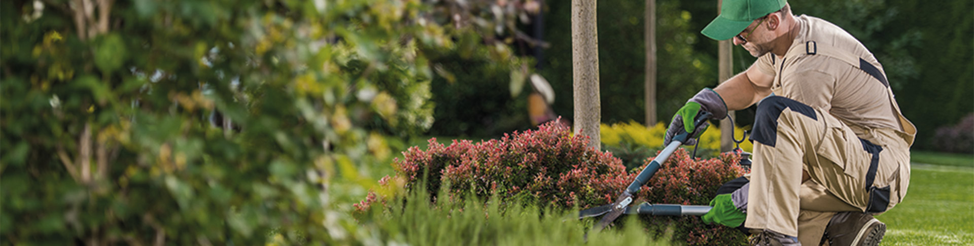 SIMAS_Immo_AG_Bewirtschaftung_Banner_Gärtner